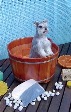  Banho Tropical para cães é a novidade da Pet Society