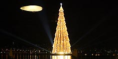 Festa da árvore da Lagoa inaugurou o Natal no Rio