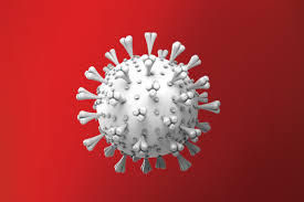 Imunidade ainda é mistério frente ao coronavírus
