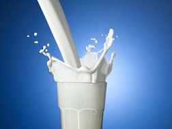 Artrose em mulheres: maior consumo de leite, menor progressão da doença?