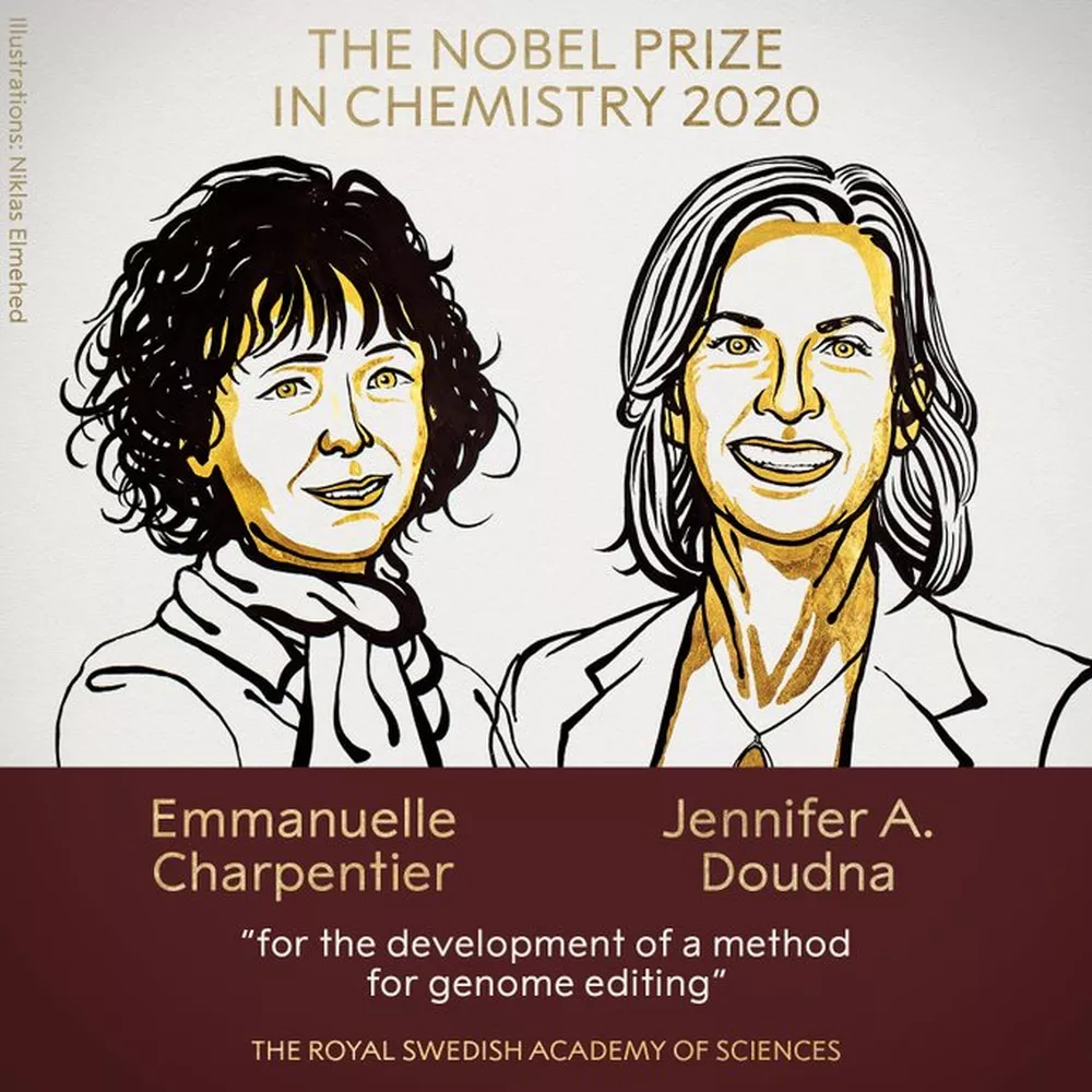 Prêmio Nobel 2020 em Química vai para 2 mulheres