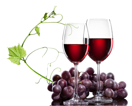 Das vinhas aos vinhos - Por Faustino Vicente